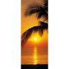 2-1255-Palmy-Beach-Sunrise-600×600